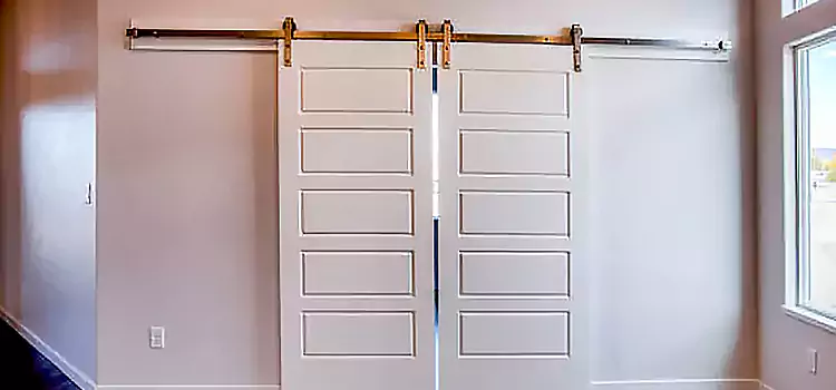 Glass Barn Door with Installation Hardware Kit Northbrook