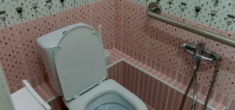 Meeting Diverse Needs With Accessible Restroom Solutions in Northbrook, IL