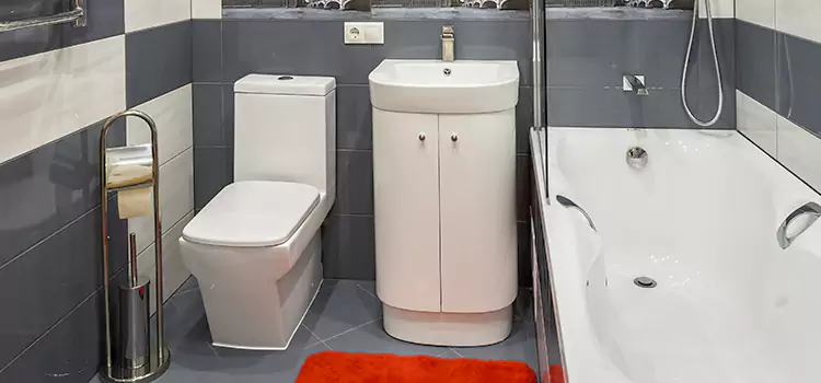 Hansgrohe Shaving Mirror Northbrook