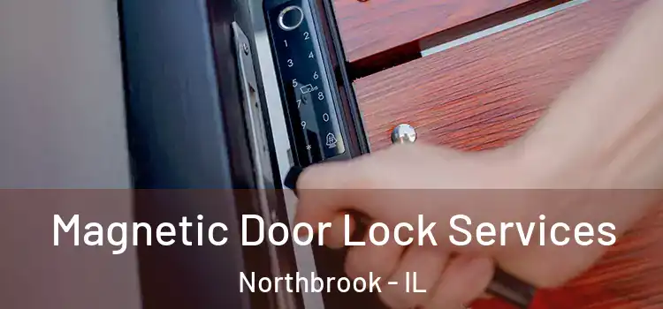 Magnetic Door Lock Services Northbrook - IL